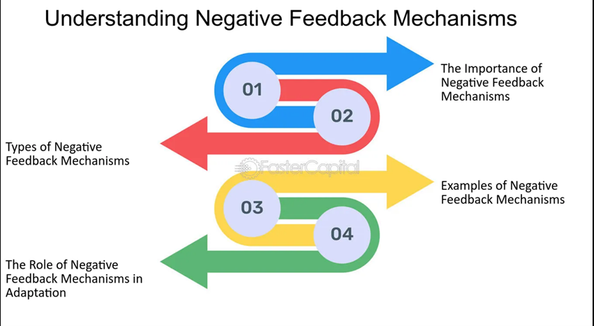understanding negative feedback mechanisms