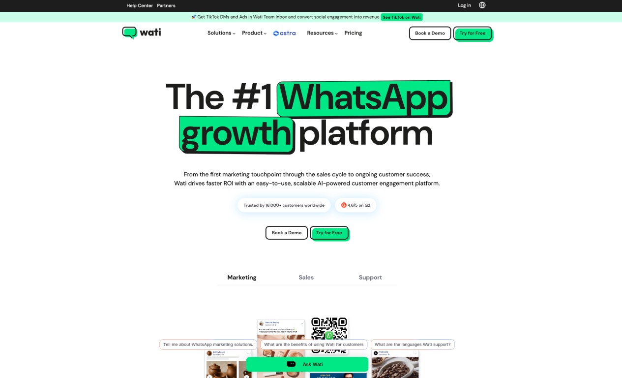 WATI WhatsApp engagement